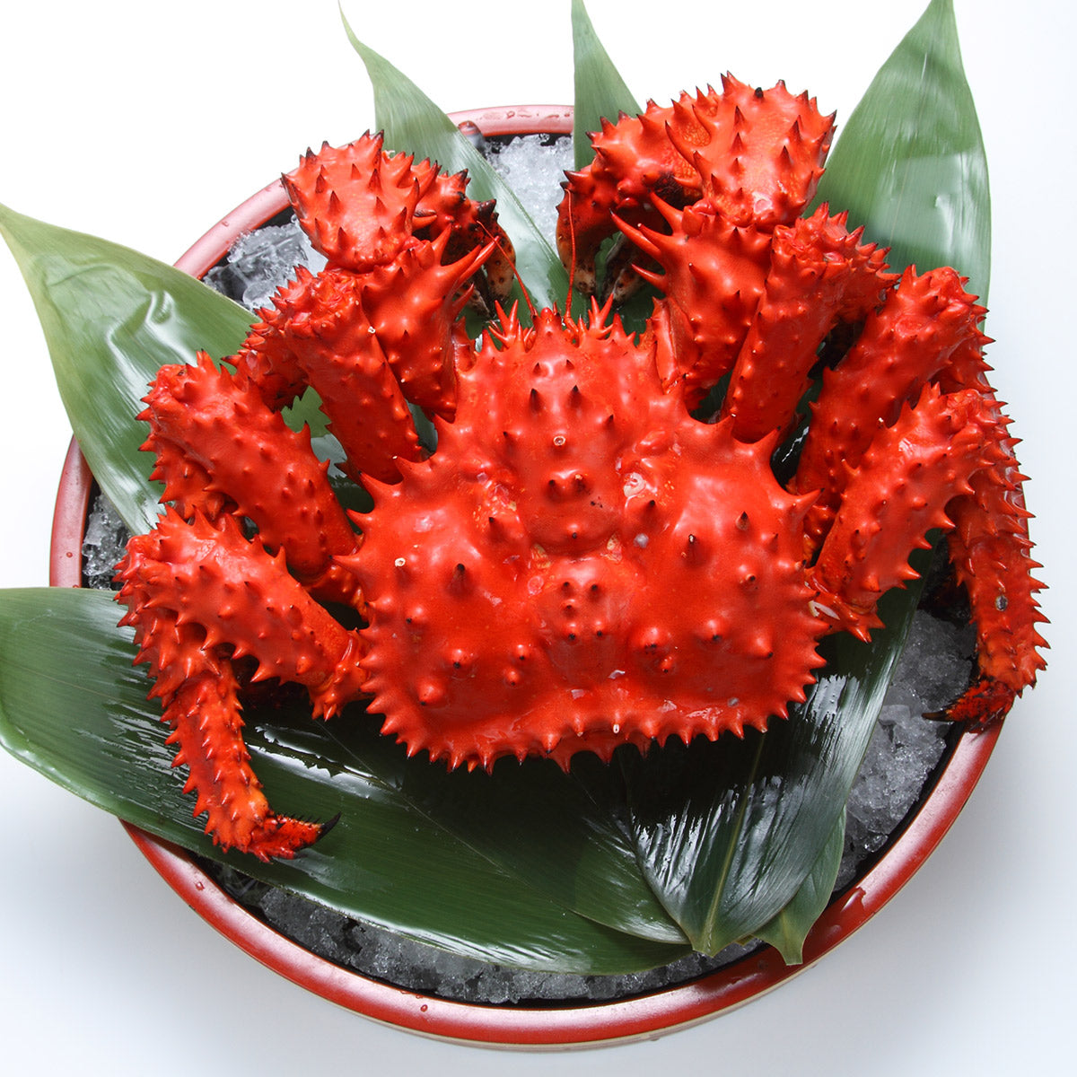 花咲蟹 オス 北海道産 5キロ3尾 冷凍