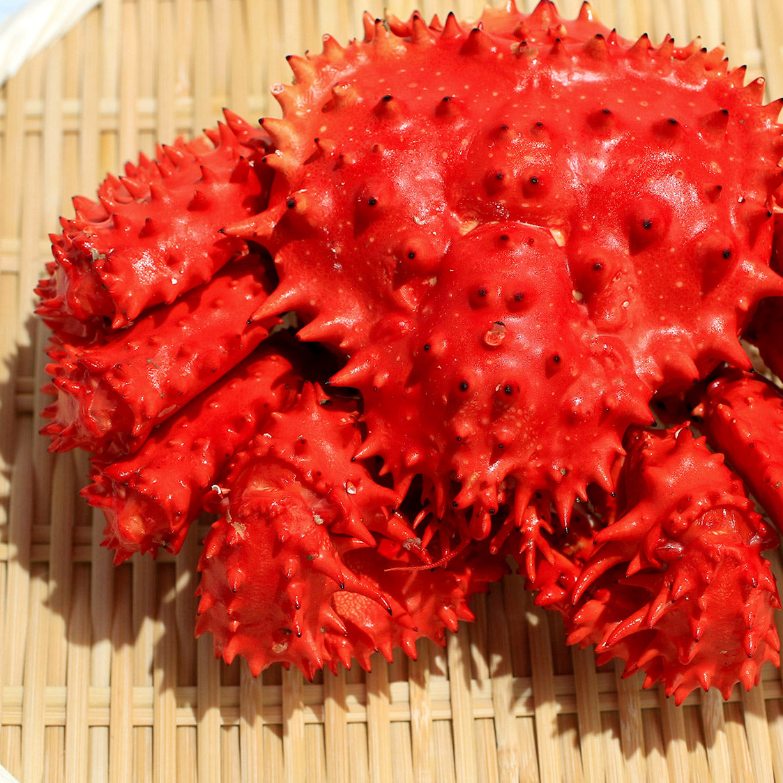 花咲蟹 オス 北海道産 5キロ3尾 冷凍
