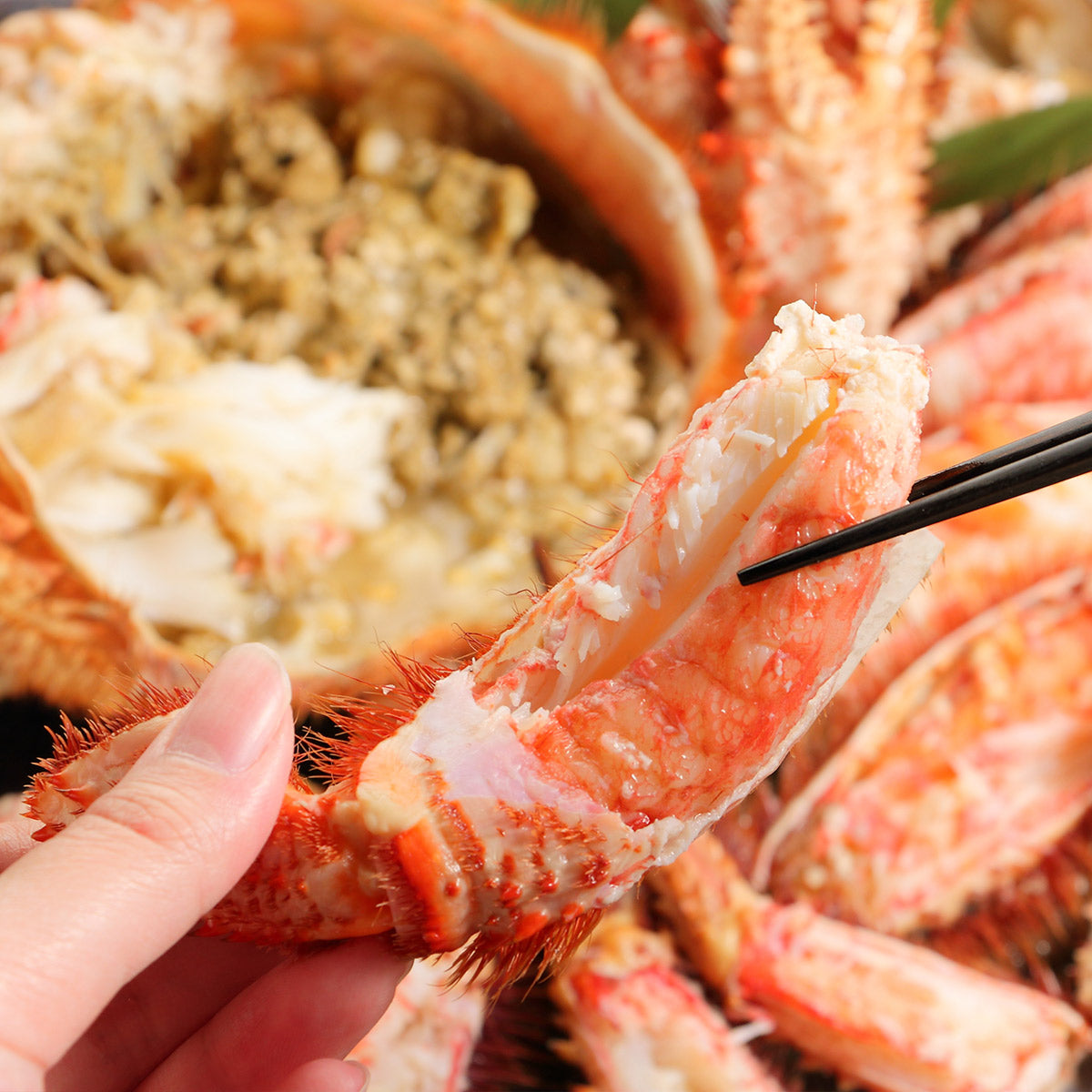 毛蟹 北海道産 4キロ4尾 冷凍