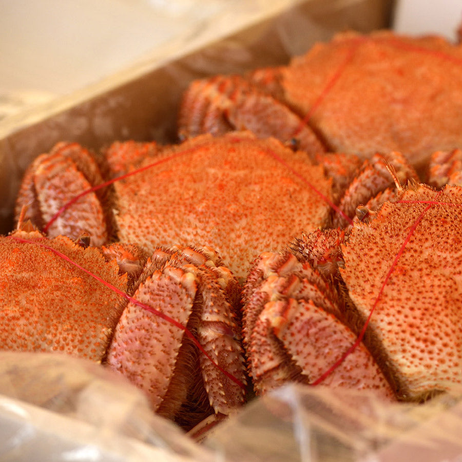 毛蟹 北海道産 4キロ4尾 冷凍